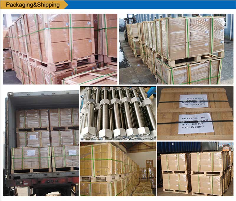 Neoksidebla ŝtalo-Listo-Boltoj-Ŝraŭbo-Fiksaĵo-enpakado